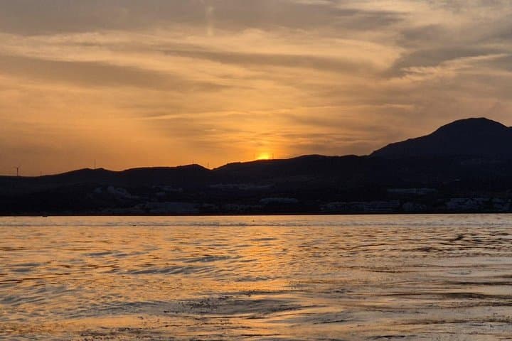 Private Yacht Charter in Estepona: Dolphin-Watching & Swimming Day Trip photo 2