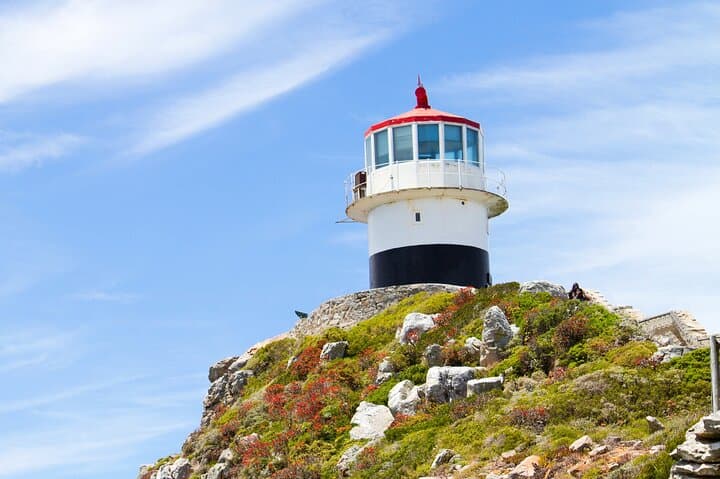 Full Day Cape Peninsula Tour: Chapman's Peak, Cape Point & Boulders Beach photo 4
