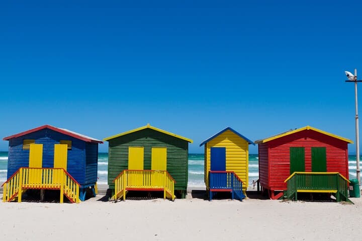 Full Day Cape Peninsula Tour: Chapman's Peak, Cape Point & Boulders Beach photo 6