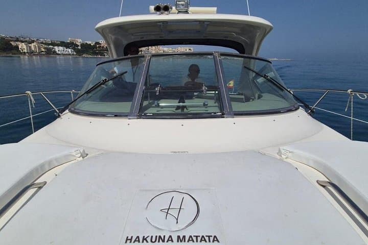 Private Yacht Charter in Estepona: Dolphin-Watching & Swimming Day Trip photo 3