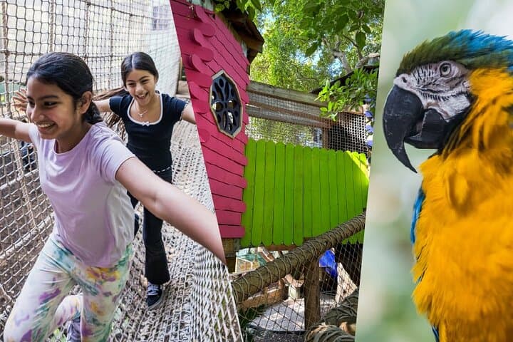 Miami’s Jungle Island: Eco-Adventure Park and Wildlife Encounters on Watson Island