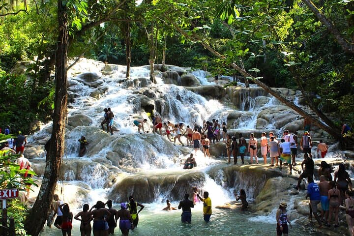 Dunn's River Falls & Horseback Swim Combo — Montego Bay Adventure