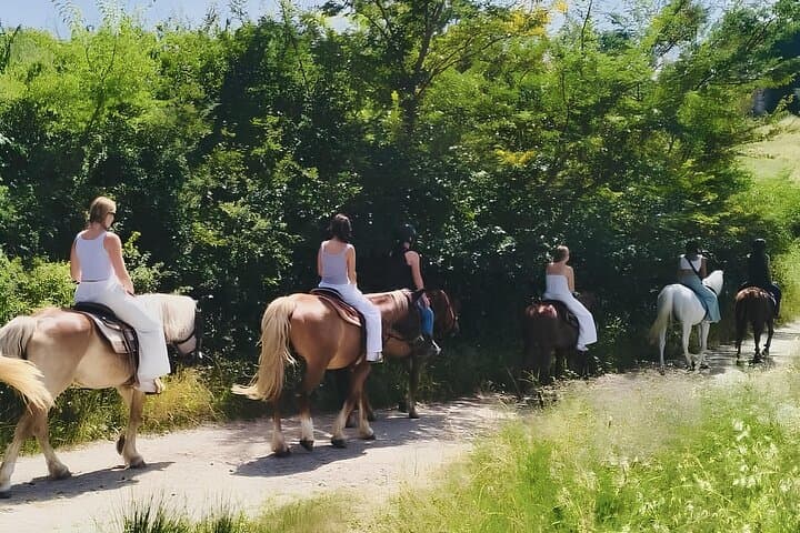 Tuscan Countryside Horseback Ride with Aperitif Near Florence photo 3