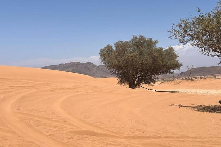 Sahara Edge: Agadir 4x4 Desert Excursion with Berber Lunch and Camel Ride photo 4