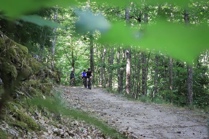 Serra da Estrela Private E-Bike Tour: Zêzere Valley Waterfalls & Forest Trails photo 4