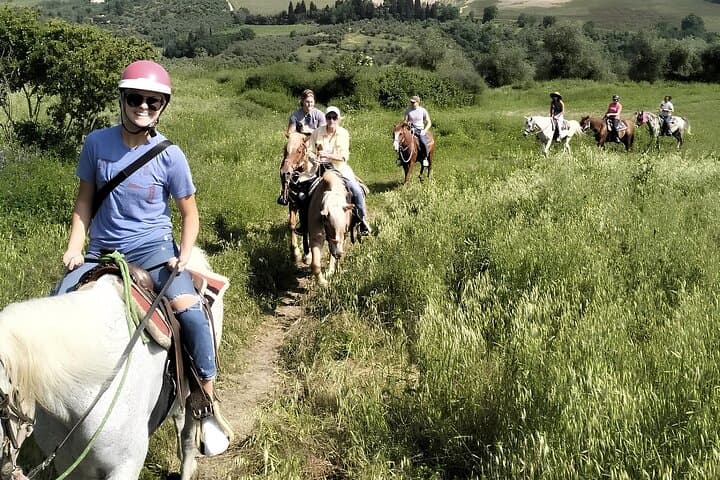 Tuscan Horseback Ride and Wine Tasting near Florence: Ride Through Pelago’s Hills
