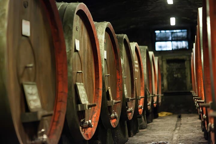 Tuscan Horseback Ride and Wine Tasting near Florence: Ride Through Pelago’s Hills photo 4