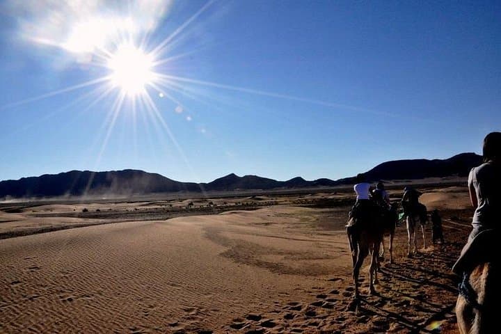 2-Day Zagora Desert Tour from Marrakech: Aït Ben Haddou, Draa Valley & Camel Camp
