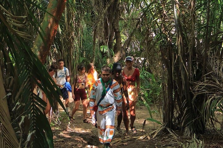 Wixárika Blessing Ceremony and Sacred Jungle Walk in Sayulita, Nayarit photo 4