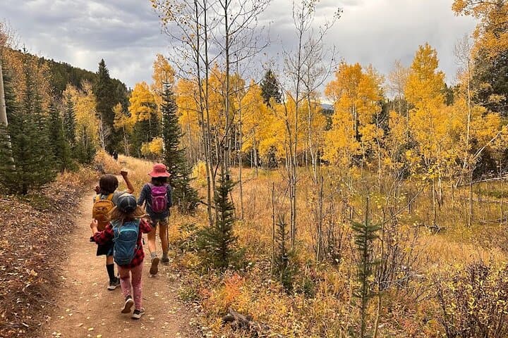 Private Half-Day Guided Hike and Curated Picnic from Denver — Red Rocks & Lookout Mountain photo 5