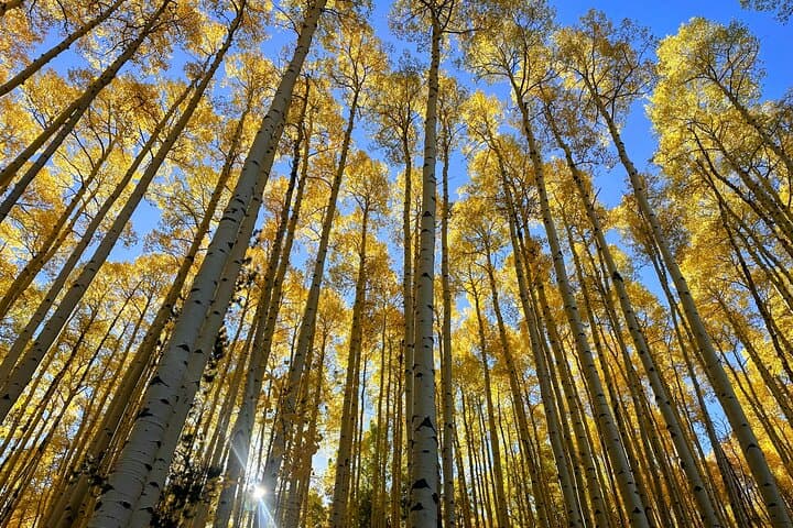 Private Guided Hiking & Sightseeing from Denver — Red Rocks to Lookout Mountain photo 6