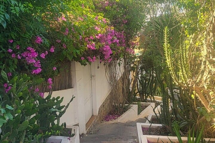 Ibiza Town to Dalt Vila: Two-Hour Walking Route Through History and Harbor Views photo 6