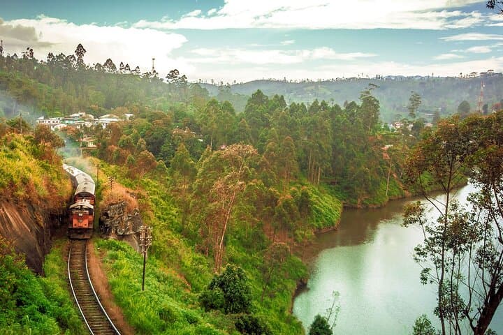 Ella to Kandy First-Class Scenic Train: Highland Rail Journey through Sri Lanka's Tea Country photo 4