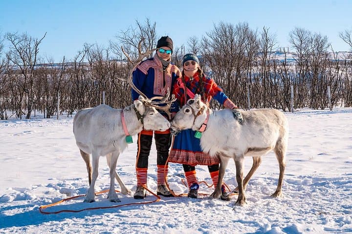 Reindeer Safari and Lavvu Dinner: Indigenous Sámi Herd Experience near Kautokeino photo 4