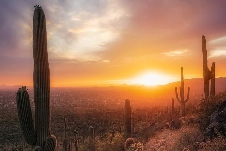 Phoenix Landmarks Tour: Desert Botanical Garden, MIM & South Mountain photo 2