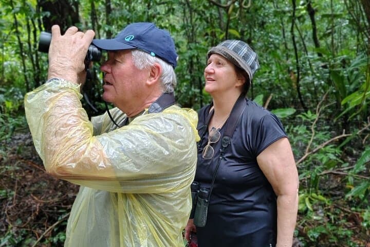 Jaguar Trail Walk — Guided Rainforest Hike in Tortuguero National Park photo 4