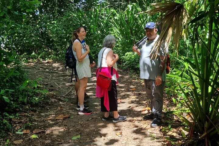 Jaguar Trail Walk — Guided Rainforest Hike in Tortuguero National Park photo 5