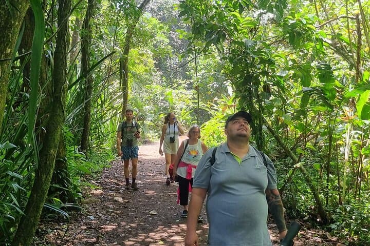 Jaguar Trail Walk — Guided Rainforest Hike in Tortuguero National Park photo 6