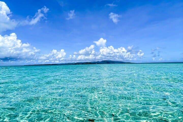 Private Fishing Charter on Ishigaki Island — Catch-and-Eat Full-Day Experience photo 6