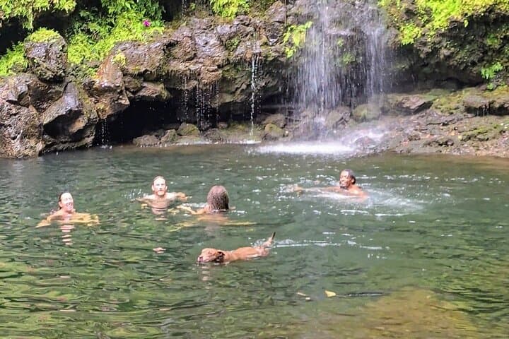 East Big Island Waterfall Hike and Swim — Rainforest Trail to a Pristine Pool