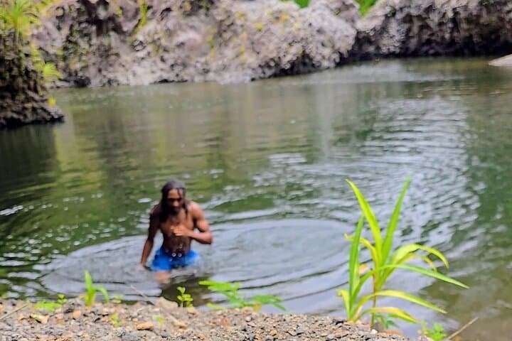 East Big Island Waterfall Hike and Swim — Rainforest Trail to a Pristine Pool photo 2