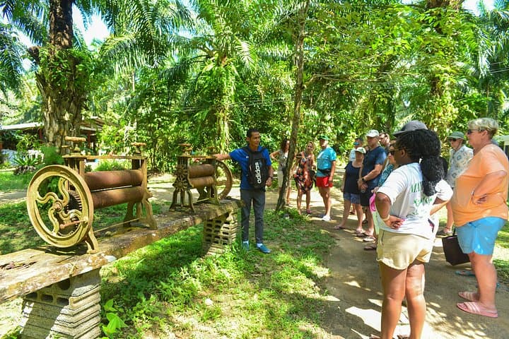 Khao Lak Bamboo Rafting & Sea Turtle Conservation Center: Half-Day Jungle River and Waterfall Eco-Trip photo 4