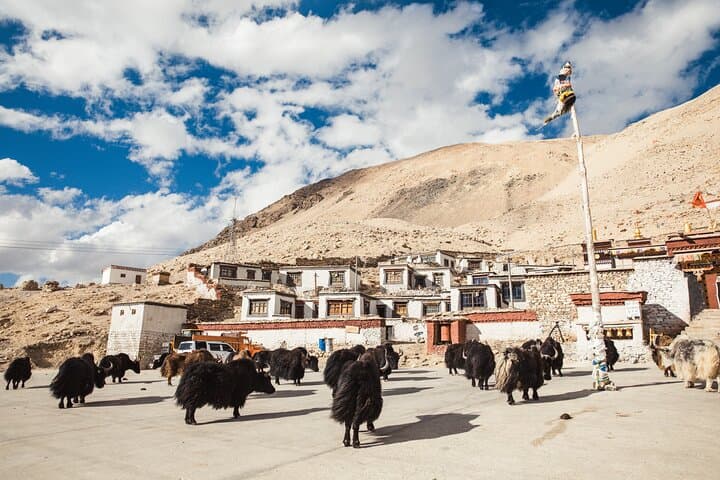 7-Day Lhasa to Everest Base Camp: Cultural and High-Altitude Exploration