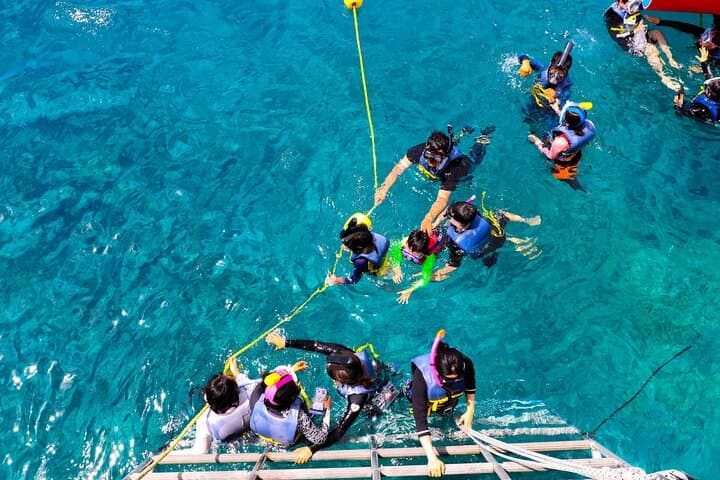 Guam Dolphin Cruise: Snorkel, Fish & Watch Dolphins in Tumon Bay photo 6