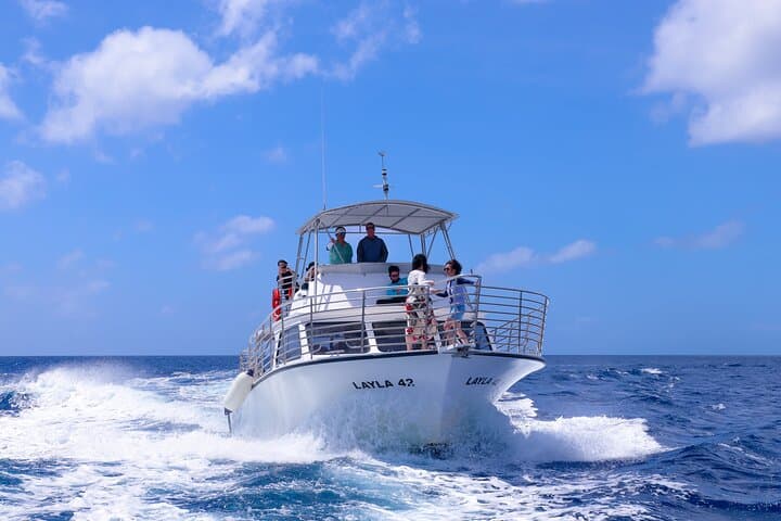 Guam Dolphin Cruise: Snorkel, Fish & Watch Dolphins in Tumon Bay photo 2