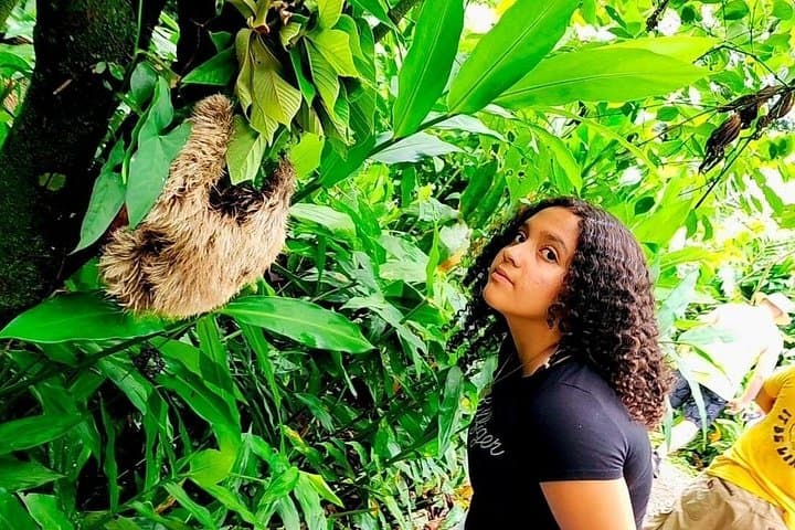 Waterfall Hike and Artisan Coffee & Chocolate Tour in Playa Hermosa, Costa Rica photo 4