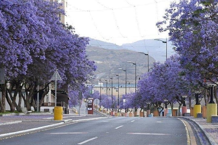 Abha Art Street and Shamsan Castle Cultural Walking Tour photo 3
