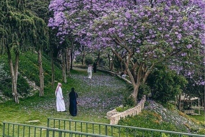 Abha Art Street and Shamsan Castle Cultural Walking Tour photo 4