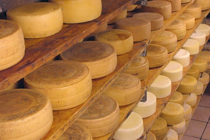 Tuscan Olive Oil & Cheese Tasting Day Trip to San Gimignano from Florence photo 2