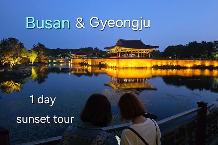 Busan to Gyeongju Sunset Day Tour by Luxury Car — Haedong Yonggungsa & Donggung