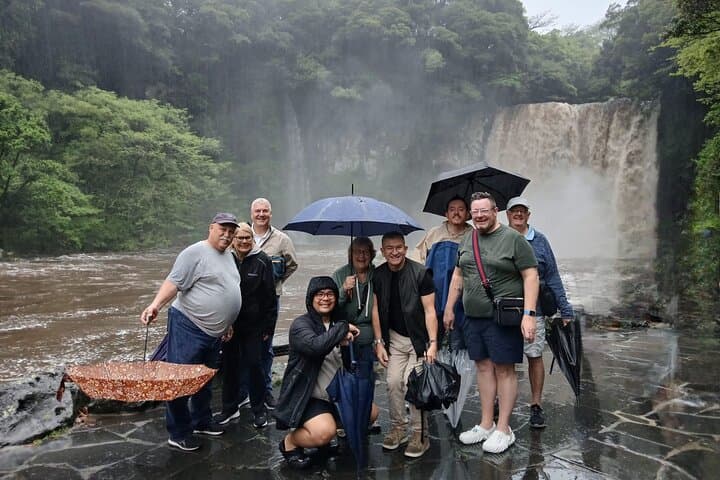 Explore Jeju by Private Taxi with an English Guide-Driver — Custom 2-Day Island Highlights photo 2