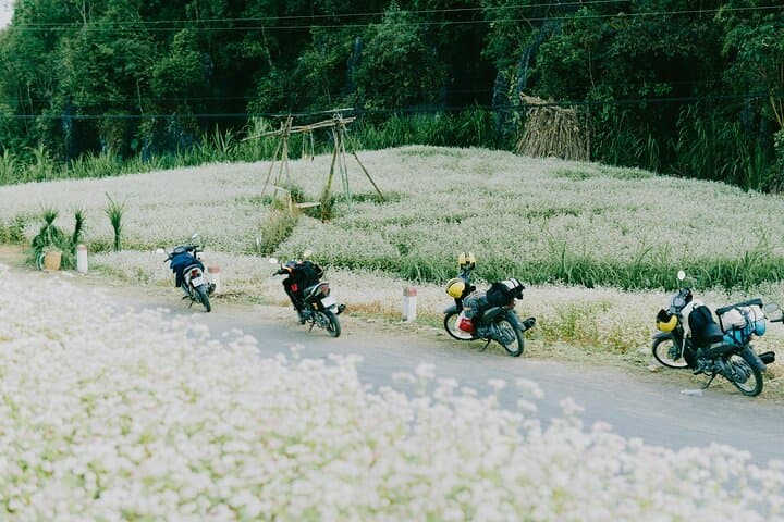Ha Giang Loop Motorbike Adventure — 2D/2N from Hanoi (Ma Pi Leng & Dong Van) photo 2