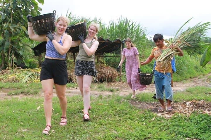 Big Boy Elephant Sanctuary: Ethical Elephant Care & Bamboo Rafting on the Mae Wang River photo 6