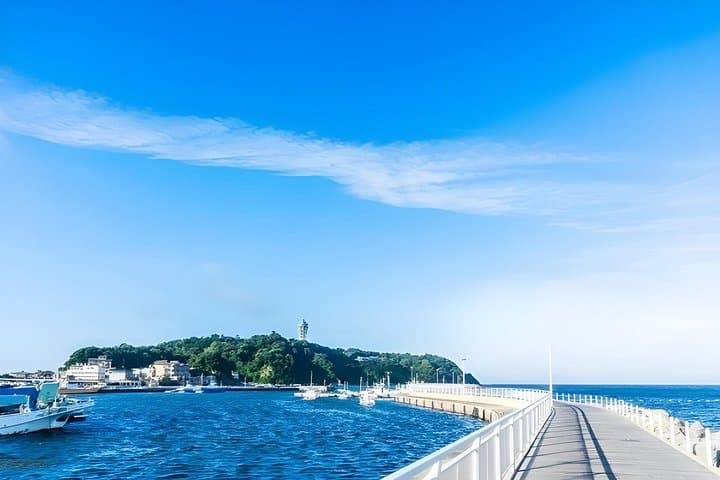 Kamakura, Enoshima & Yokohama Day Trip from Tokyo — Private Van Coastal Tour
