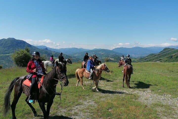 Guided Horseback Ride in the Emilian Hills from Vergato photo 2