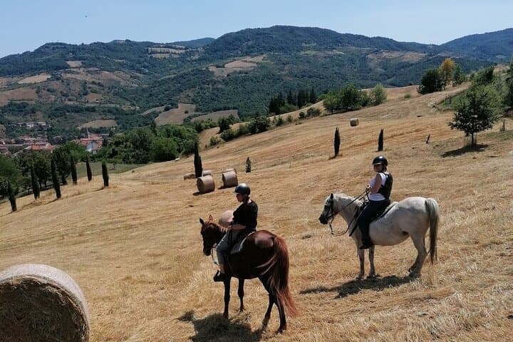 Guided Horseback Ride in the Emilian Hills from Vergato