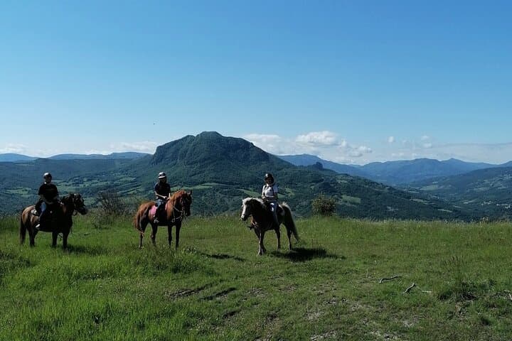 Guided Horseback Ride in the Emilian Hills from Vergato photo 3