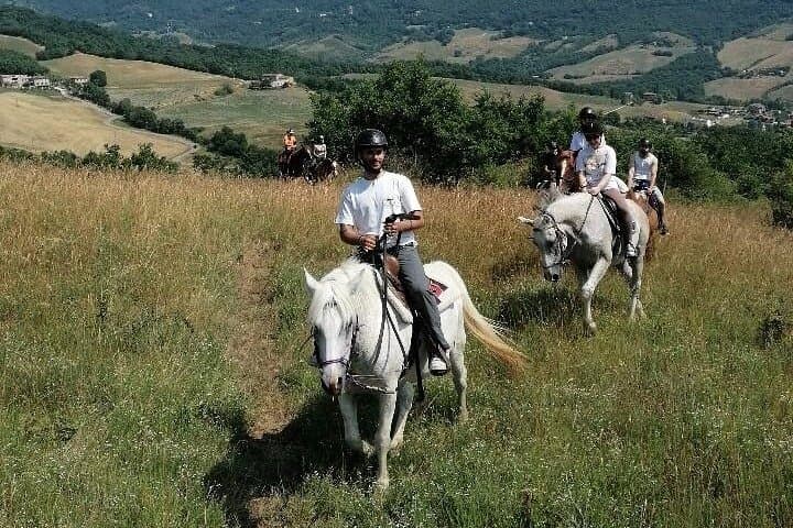 Guided Horseback Ride in the Emilian Hills from Vergato photo 4