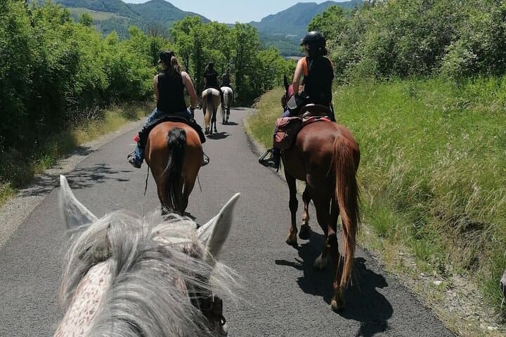 Guided Horseback Ride in the Emilian Hills from Vergato photo 6