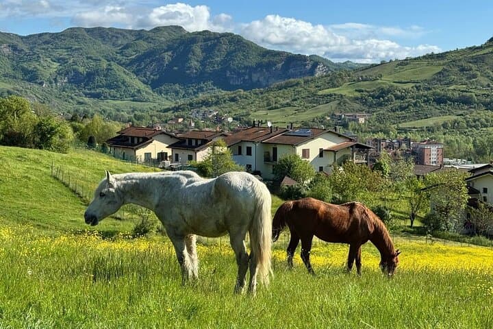 Guided Horseback Ride in the Emilian Hills from Vergato photo 5