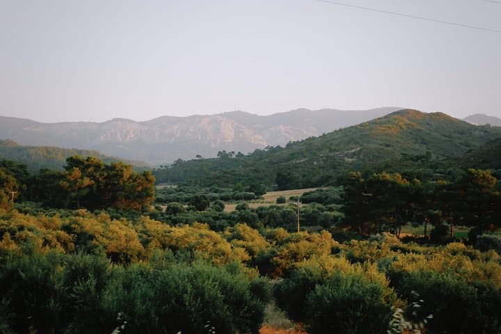 Rhodes Quad Safari: ATV Adventures in the Island Highlands photo 4