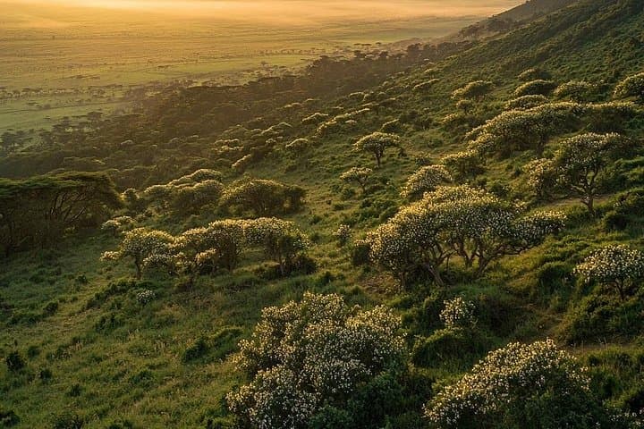 4-Day Serengeti and Ngorongoro Crater Camping Safari from Arusha photo 4