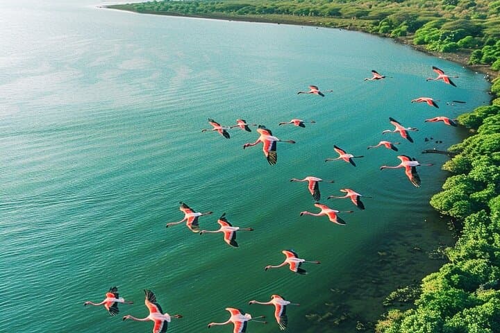 3-Day Tarangire, Ngorongoro & Lake Manyara Safari from Zanzibar photo 2