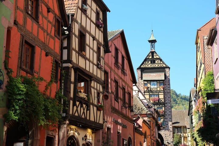 Black Forest and Alsace Wine Tasting: Private Day Tour from Zurich photo 4