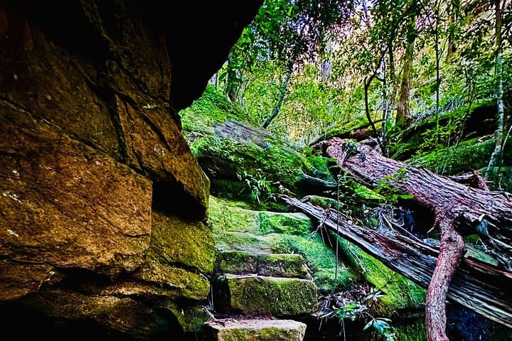 Trek, Shoot and Soothe: Blue Mountains Guided Hiking & Photography Tour from Springwood photo 2