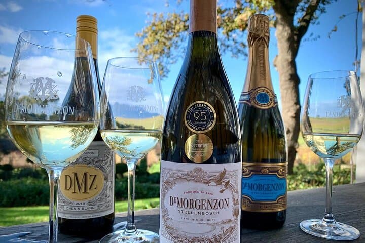 Cape Winelands Private Tour: Stellenbosch & Franschhoek Wine Tasting
